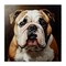 Stupell Industries Stoic Bulldog Portrait Canvas Design by Tom Crehan